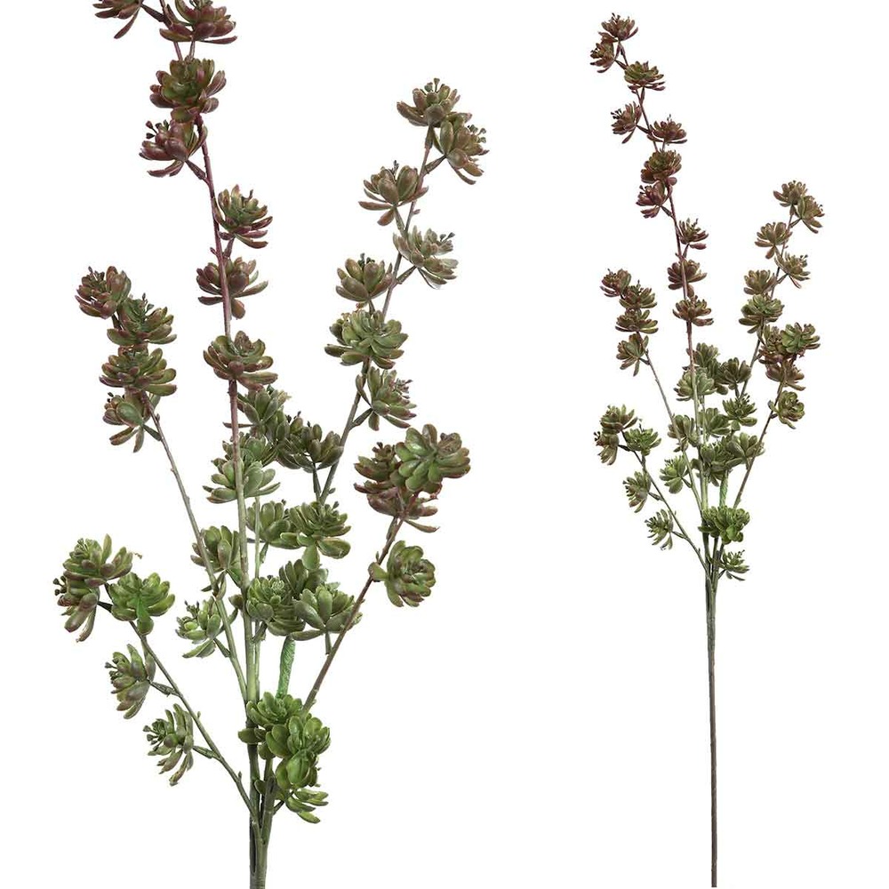 Ptmd plante artificielle succulent - 60x20x105 cm - plastique - pourpre