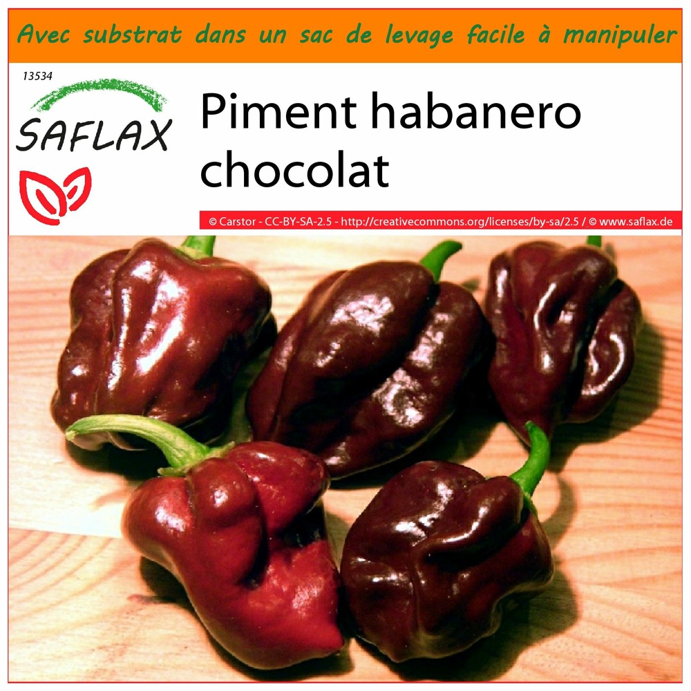 Garden in the bag - piment habanero chocolat - 10 graines - capsicum chinense