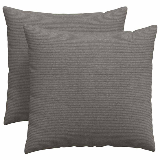 Coussins de canapé 2 pcs gris clair 50 x 50 cm