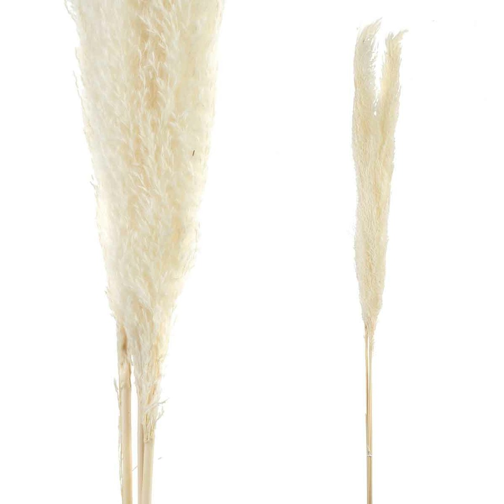 Ptmd fleur artificielle pampas - 70x15x115 cm - pampas - blanc