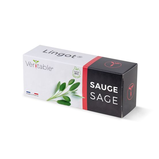 Lingot sauge bio - recharge prête à l'emploi