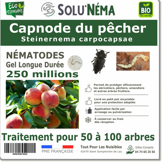 Solunéma - Capnode du pecher - 250 millions de Nématodes Steinernema Carpocapsae (SC)