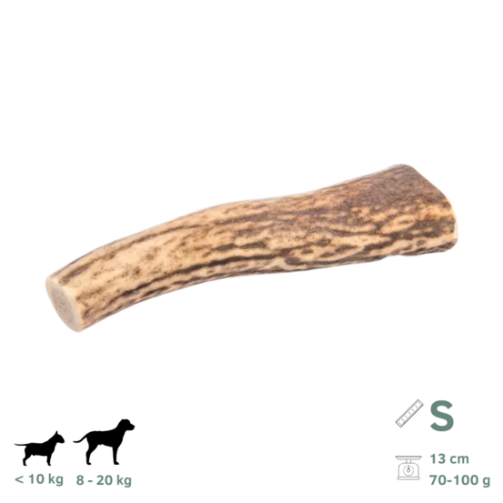 Bois de cerf pour chien s 70-100g