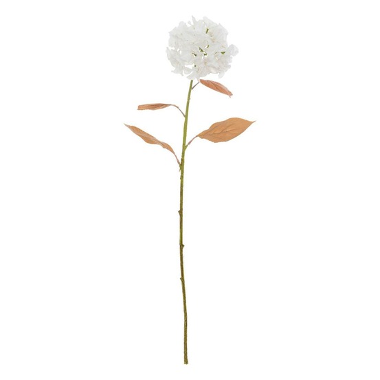 Bch hortensia blanc h90