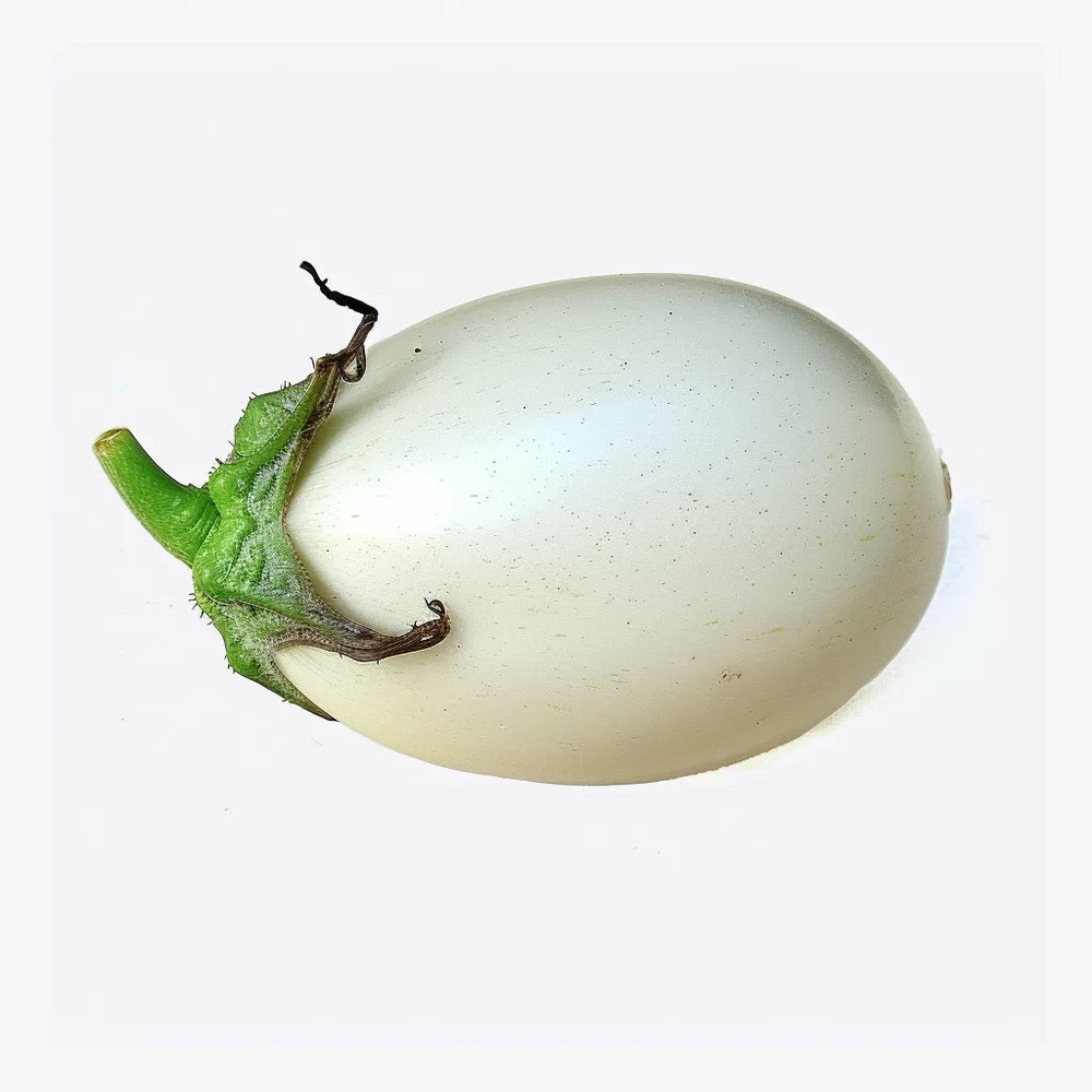 60 graines d'aubergine white egg - semisauvage permaculture