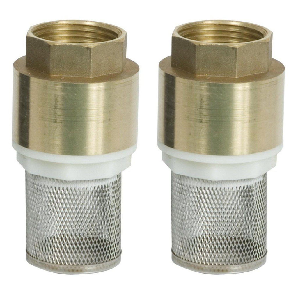 Crépine en laiton avec filtre en métal