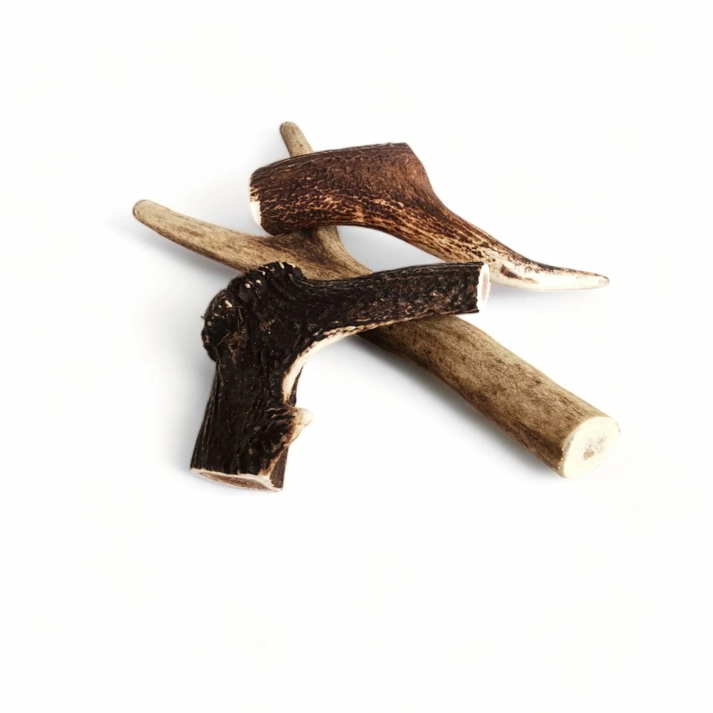 3x bois de cerf xxxl entier (300gr et+) - chien +50kg - france croquettes