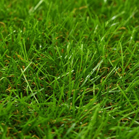 Gazon artificiel 1x8 m/30 mm vert