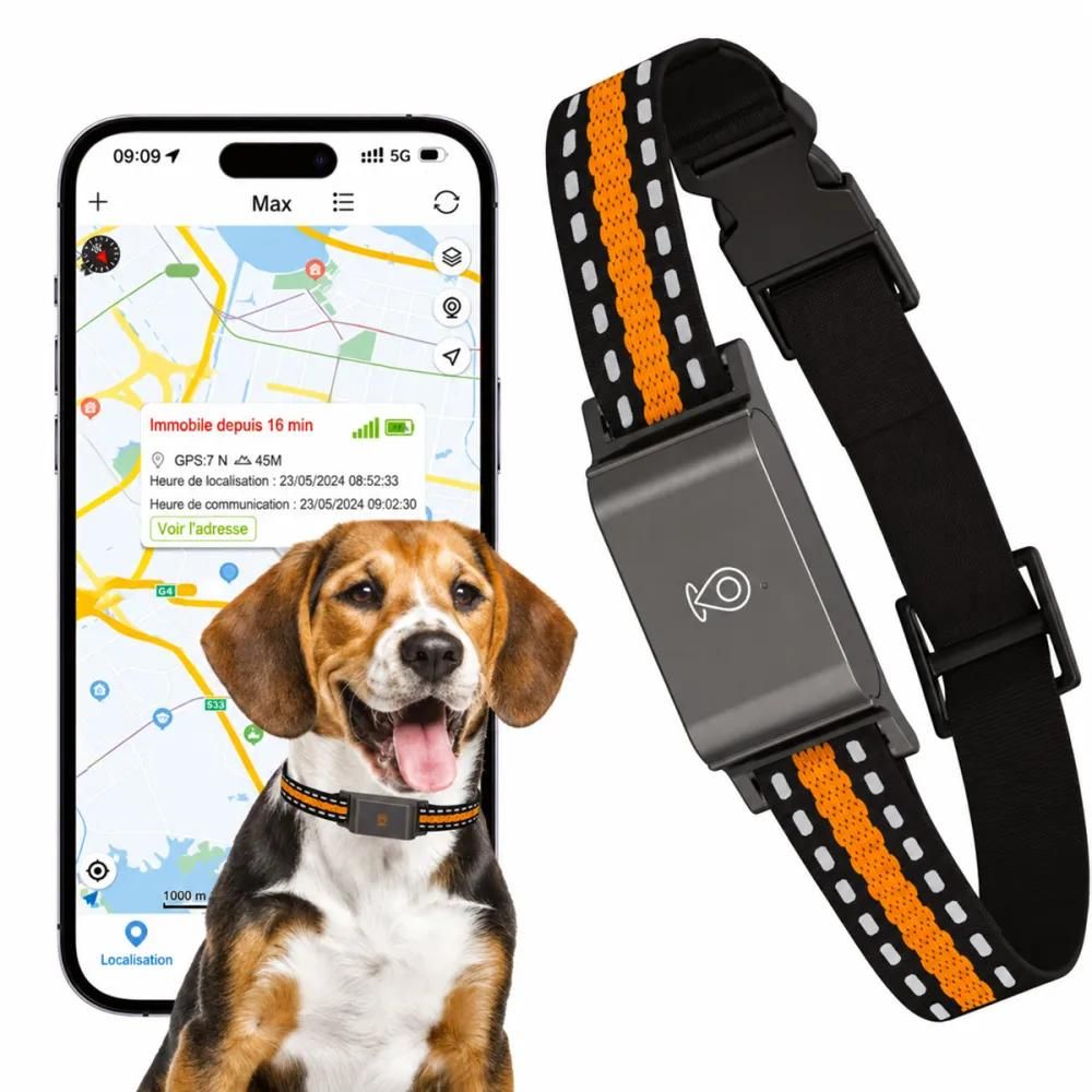 Collier traceur gps 4g pour animaux avec abonnement