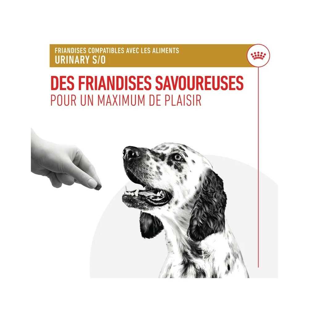 Royal canin chien urinary friandises 230 g