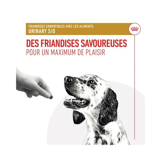 Royal canin chien urinary friandises 230 g