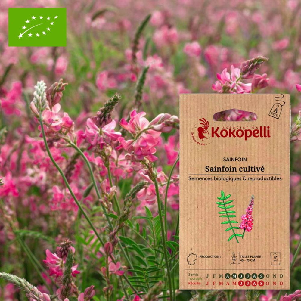 Sainfoin cultivé- graines bio à semer