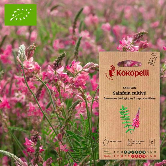 Sainfoin cultivé- graines bio à semer