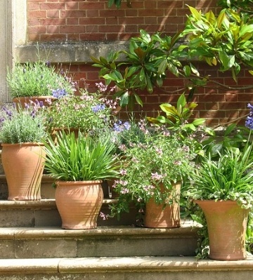 Jardinière pour balcon ou terrasse : comment la choisir, adopter