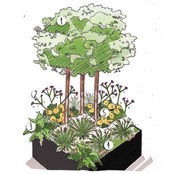 Aménagement jardin champêtre 