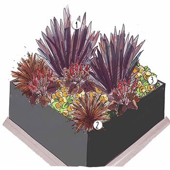 Aménagement jardin pourpre