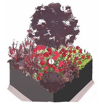 Aménagement jardin pourpres