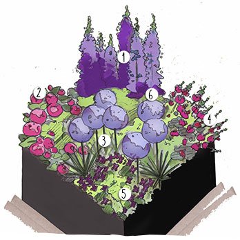 Aménagement jardin rose et bleu