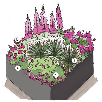 Aménagement jardin rose