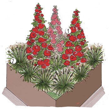 Aménagement jardin de roses rouges structuré