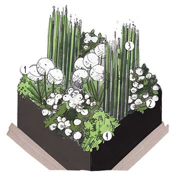 Aménagement jardin blanc et vert
