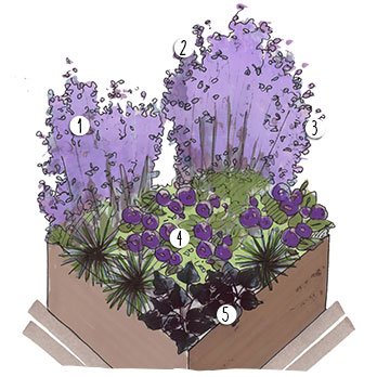 Aménagement jardin parme violet