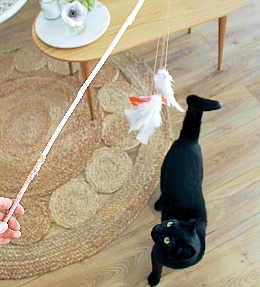 jouet chat canne à pêche plume