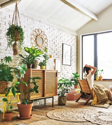 esprit jungle à la maison