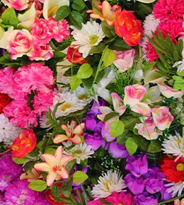 fleurs multicolores