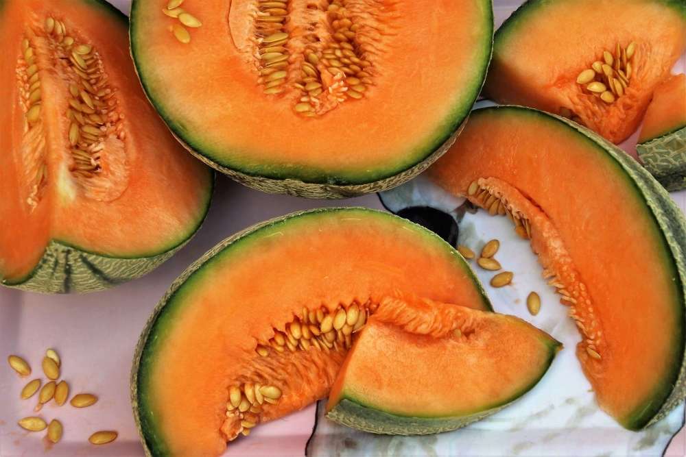8 utilisations incroyables des pépins de melon (ne les jetez plus !) Melon_banniere