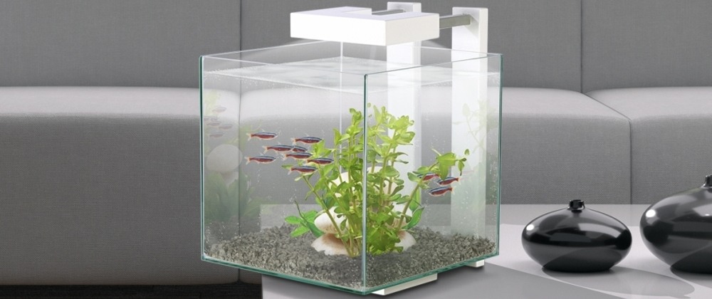 Petite aquarium Sur - Décoration Interne Et Externe