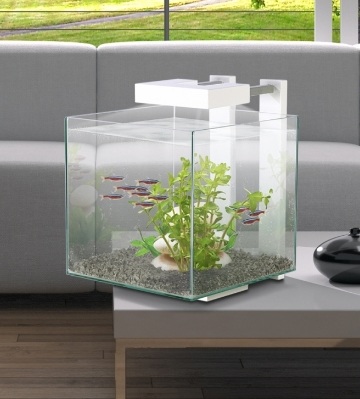 entretien nano-aquarium