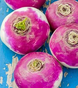 navets table présentation