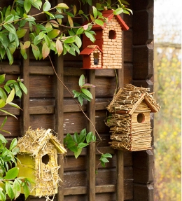 DIY nichoir pour oiseaux