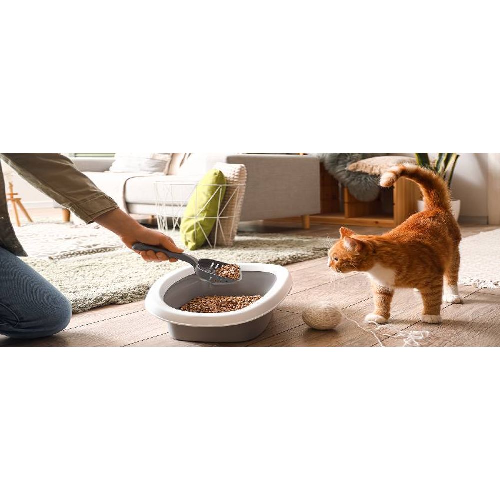 Comment choisir la bonne litière pour le confort de votre chat ?