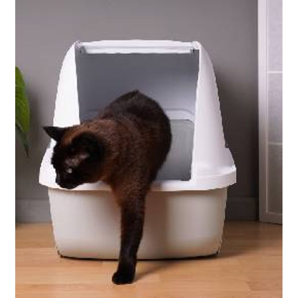 Comment choisir la bonne litière pour le confort de votre chat ?