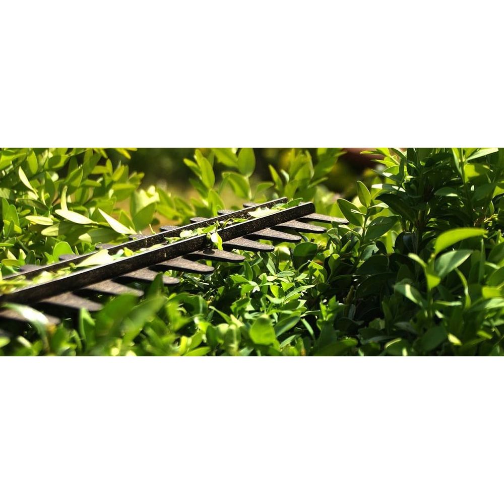 outil moteur buisson
