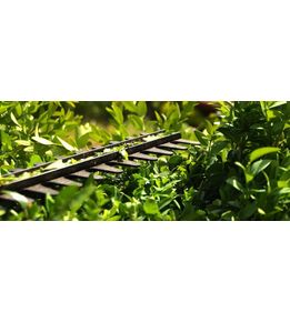 outil moteur buisson