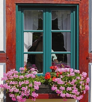 fleurs pour balcon