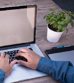 Quelle plante choisir dans un bureau ?