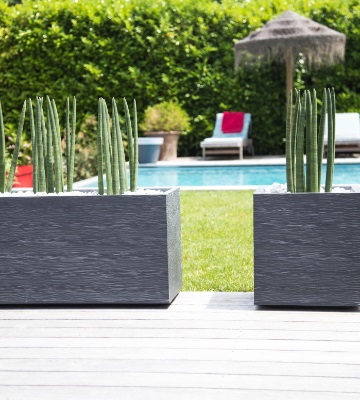 entretien pots et bacs