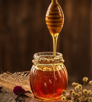 récolte du miel