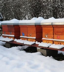ruche hiver