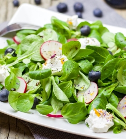 salades gourmandes et légères