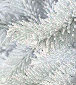 sapin floqué blanc