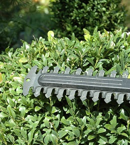 guide achat taille haies