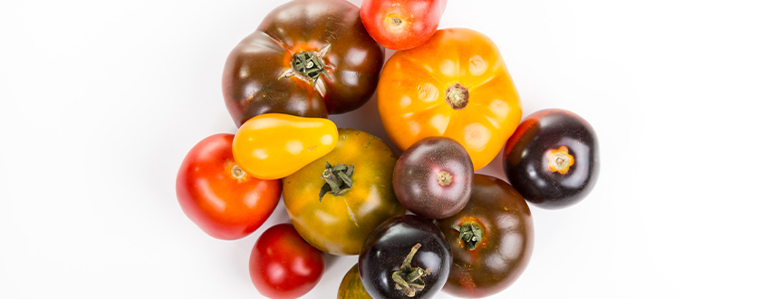 variétés tomates