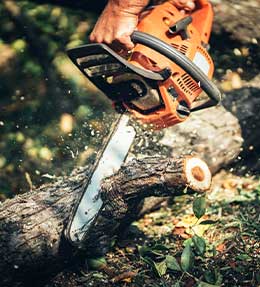 utilisation et entretien tronçonneuse