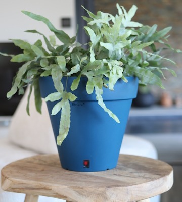 Comment choisir et utiliser un pot à réserve d'eau ?