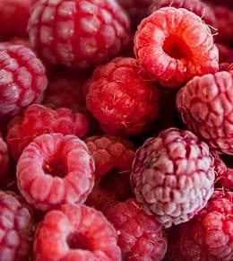 variétés framboises